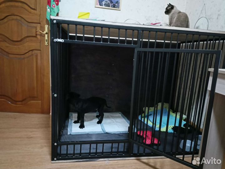 Вольер для собак в квартиру