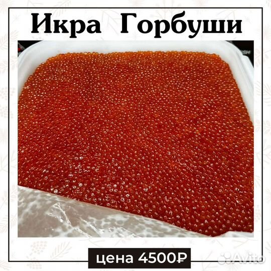 Икра красная Горбуши