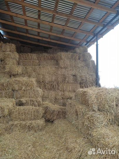 Сено и солома