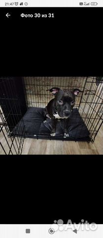 Матрас-лежанка для собак