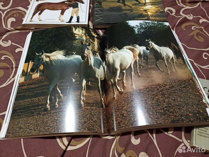 Книги о лошадях. Мир лошадей. Ваша лошадь