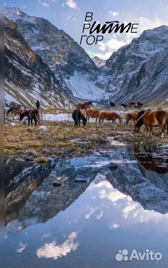Тур по Осетии-Зимние легенды Куртатинского ущелья