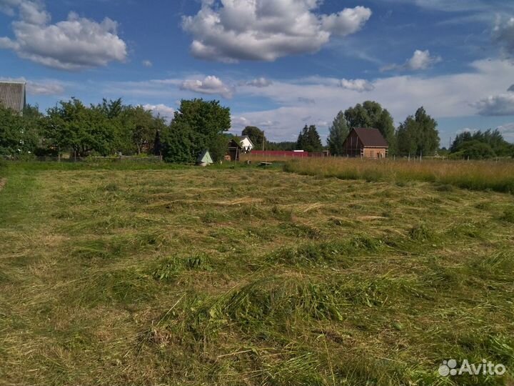 Луговое сено