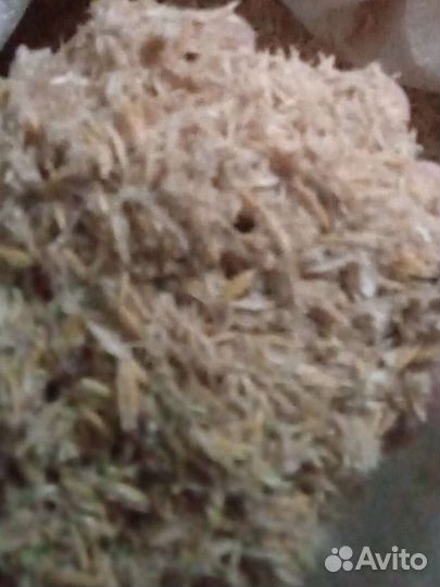 Зерно смесь