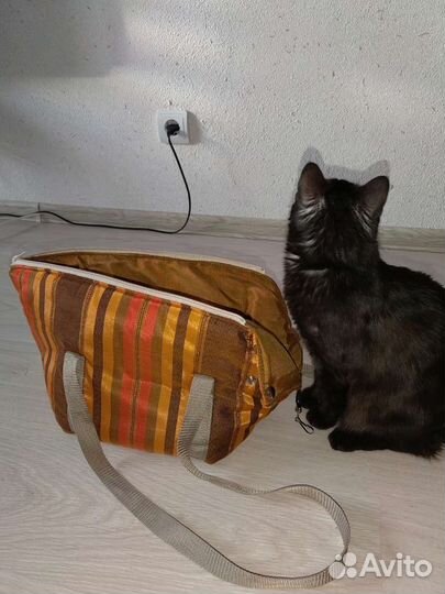 Переноска для маленькой собачки или кошечки