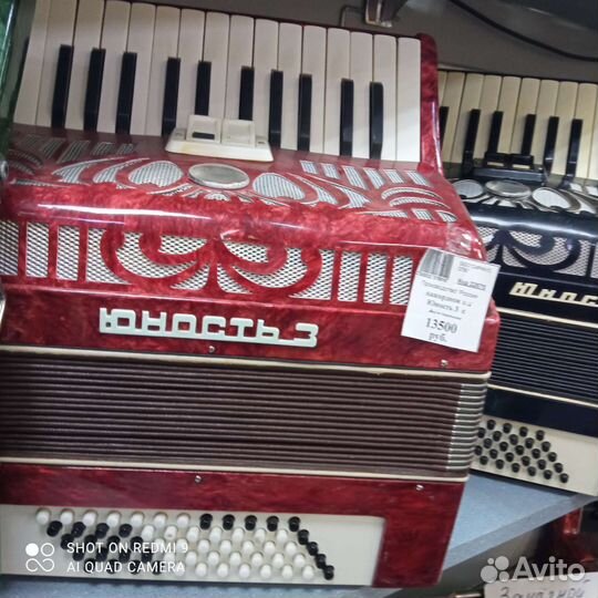 Аккордеон юность