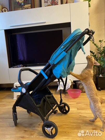 Прогулочная коляска silver cross jet