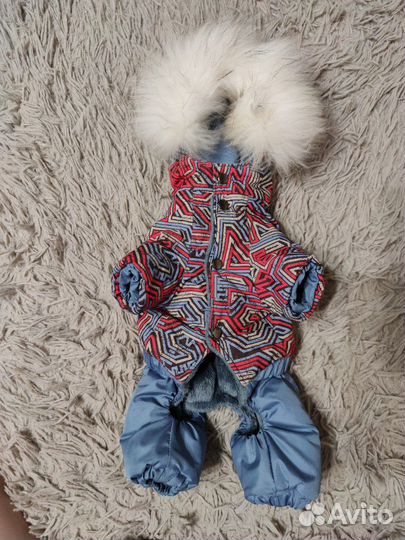 Комбенизон для собаки