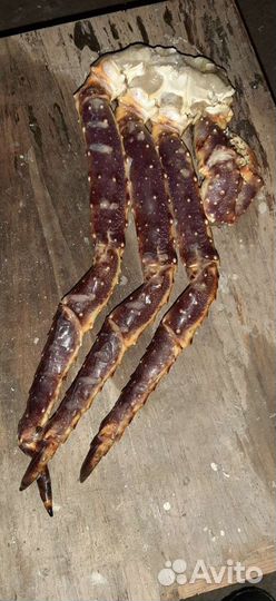 Клешни камчатского краба