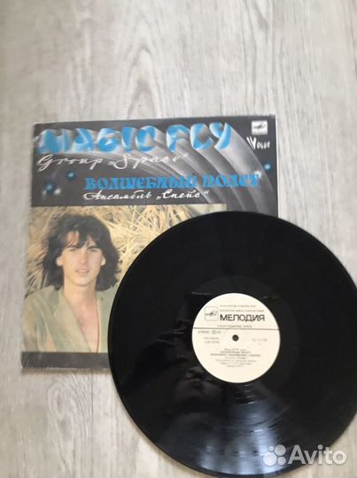 Виниловая пластинка