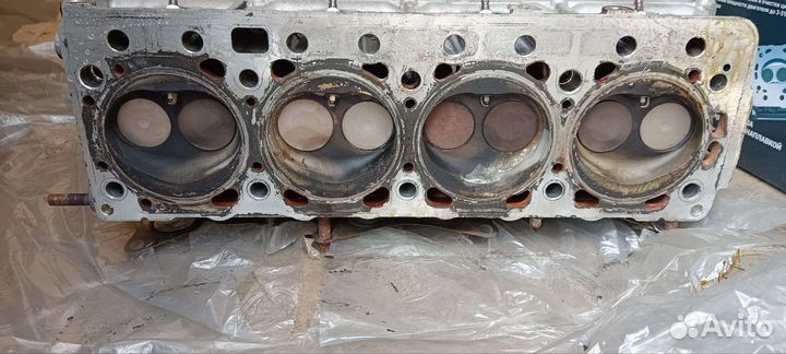 Гбц Танаки на эвотек, evotech