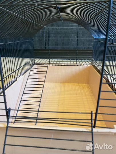 Клетка для грызунов бу