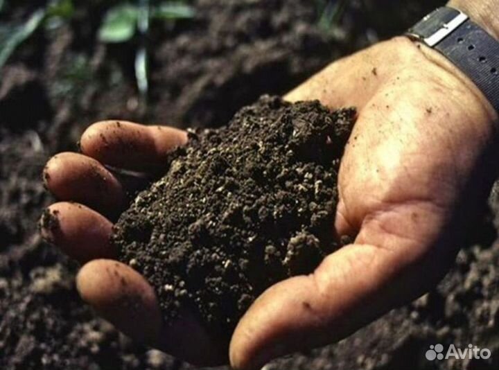 Грунт для отсыпки