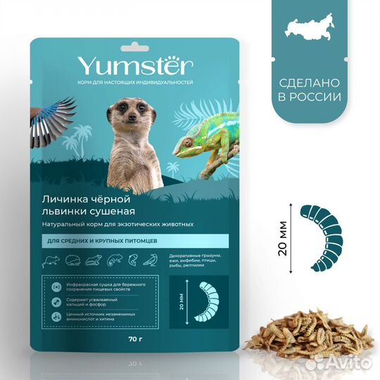 Личинка чёрной львинки сушеная 20 мм, 70гр Yumster