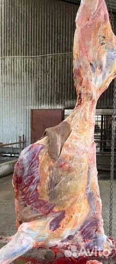 Мясо говядина