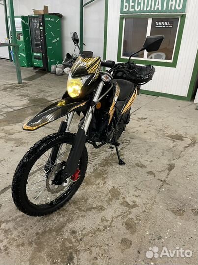 Avantis MT250