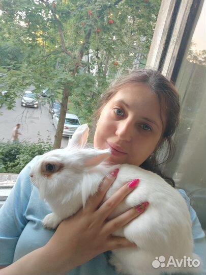 Зоогостиница для животных