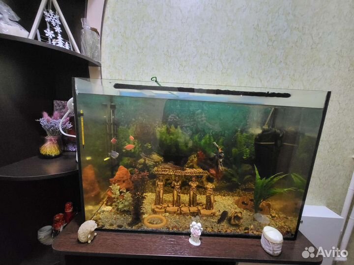 Аквариум