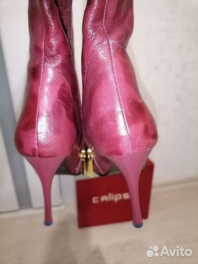 Новые сапоги ботфорты calipso р.37