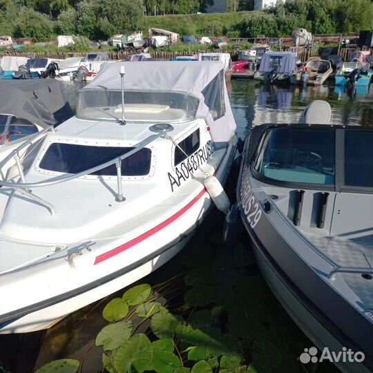 Катер Нептун