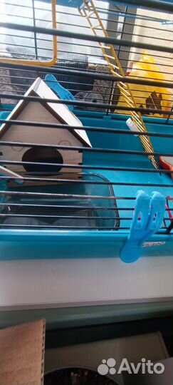 Все для хомяка