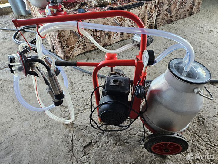 Доильный аппарат для коров