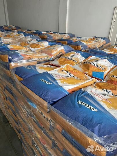 Семена подсолнечника Экспресс Евролайтинг