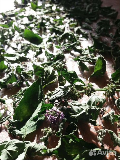 Мелисса, Мята, Малина сушеные листья