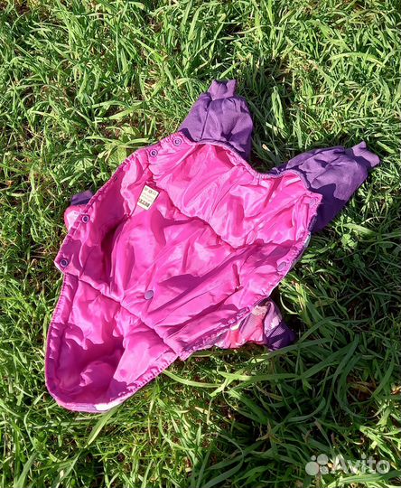 Комбинезон для чихуахуа