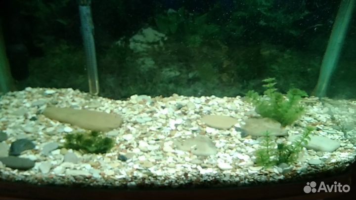 Тумба с аквариумом