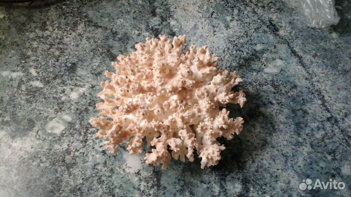 Декор для аквариума