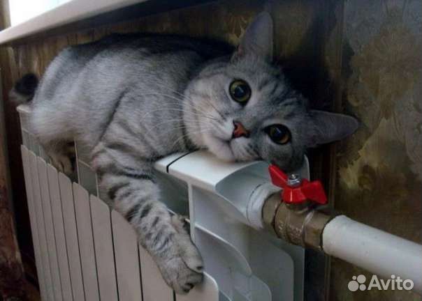 Услуги сантехника