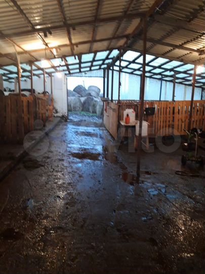 Дом 55 м² на участке 10 га