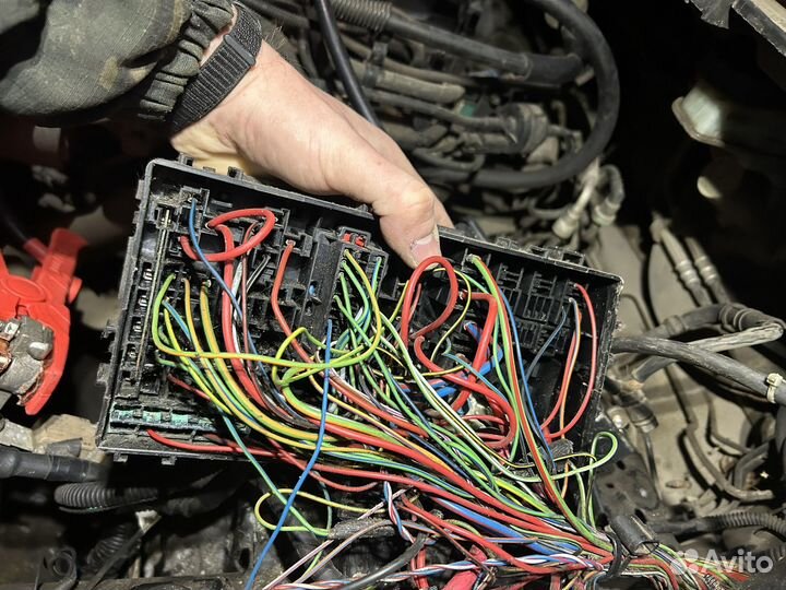 Автоэлектрик-диагност