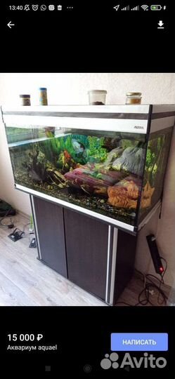Аквариум