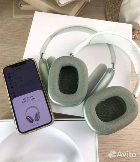 Air Pods max