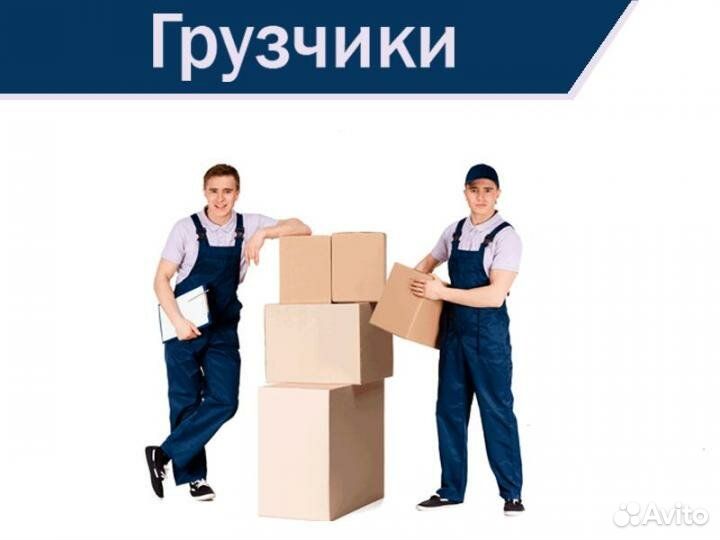 Грузчики /вахта /Владимирская обл. г. Киржач