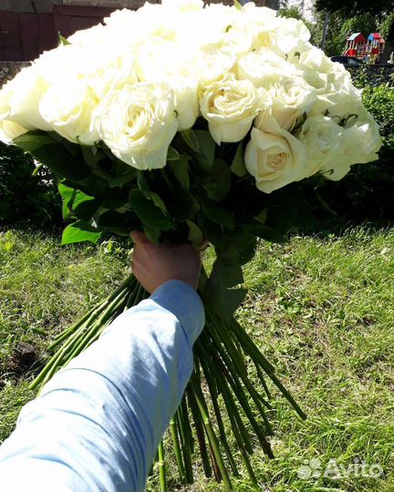 Цветы розы букет