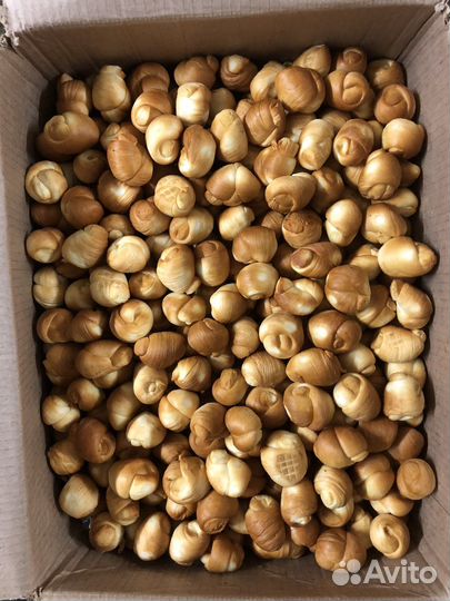 Сыр копченый шарики моцарелла