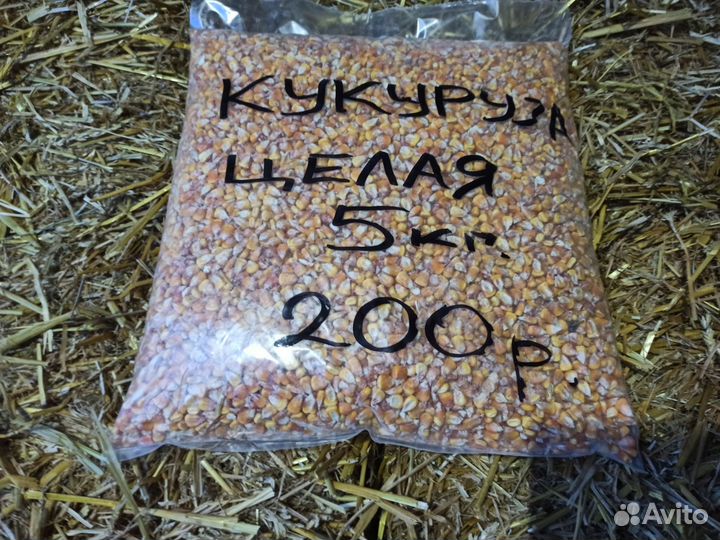 Зерно - кукуруза дроблëная 5 кг, в Анино