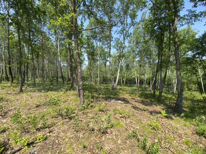 Участок 15 сот. (ИЖС)