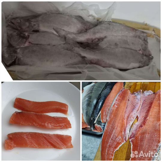 Горбуша серебрянка (3 вида)