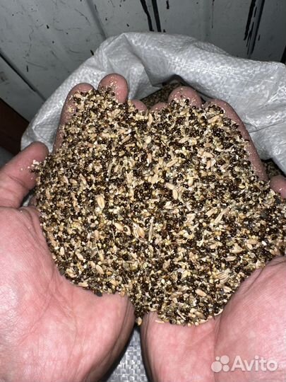 Зерноотходы пшеницы