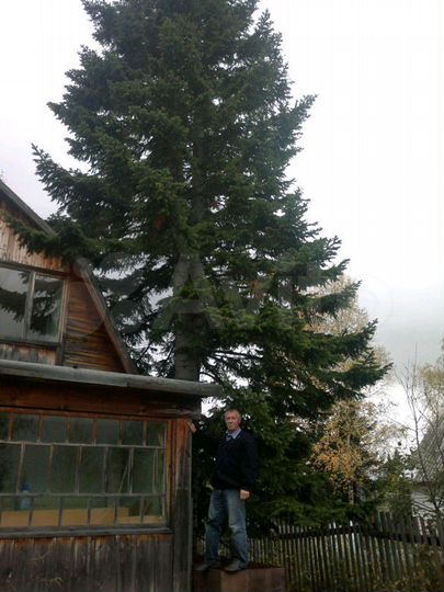 Дача 50 м² на участке 7 сот.