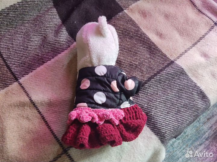 Одежда для маленькой собачки