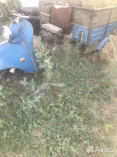 Мотороллер муровей