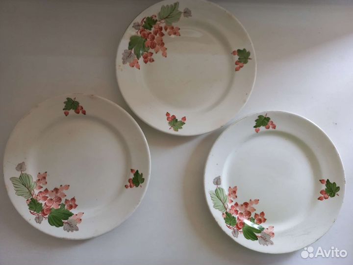 Тарелки зик (Конаково)