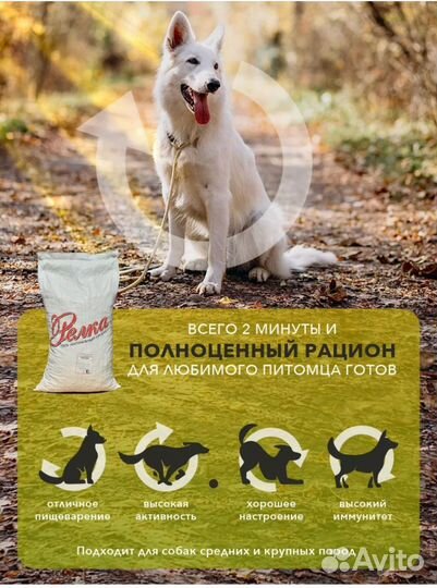 Корм для собак