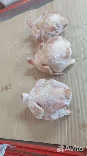 Мясо курица халял
