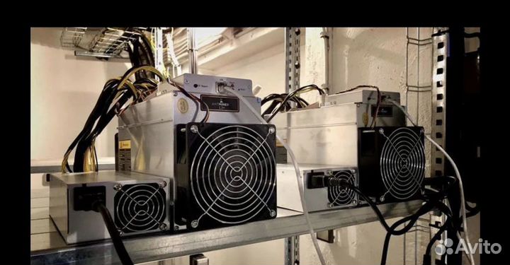 Асик майнер Antminer L3+ 504 Mh/s